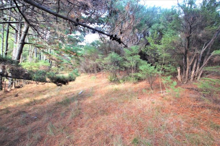 Photo of property in 15 Ngataki Road, Ngataki, Kaitaia, 0484