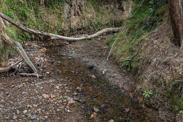 Photo of property in 183 Wainui Road, Torere, Opotiki, 3197