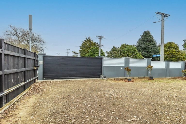 Photo of property in 81 Macarthur Street, Levin, 5510