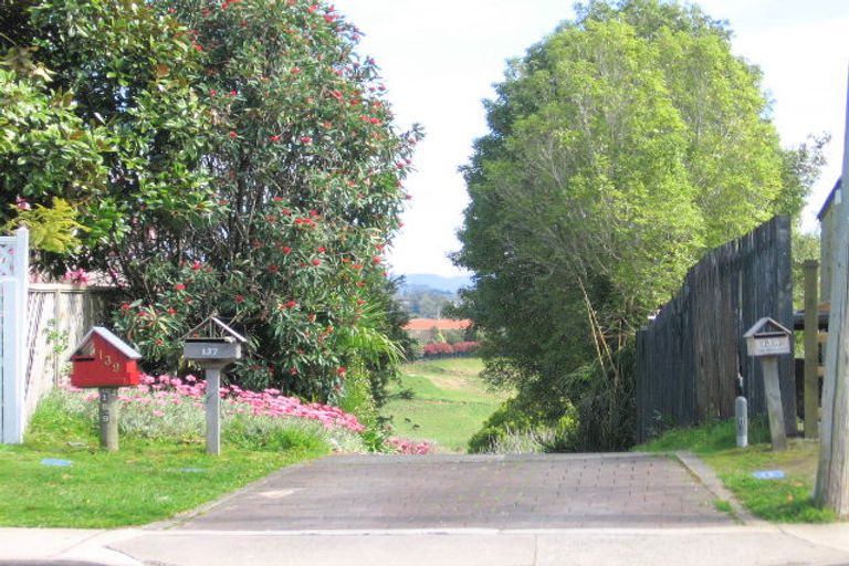 Photo of property in 139 Ohauiti Road, Hairini, Tauranga, 3112