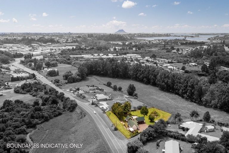 Photo of property in 195 Oropi Road, Oropi, Tauranga, 3173