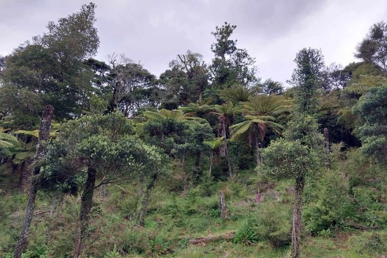 Photo of property in 1762 Kohumaru Road, Peria, Kaitaia, 0482