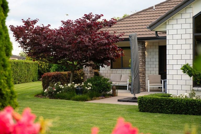 Photo of property in 14 Shadbolt Drive, Leamington, Cambridge, 3432