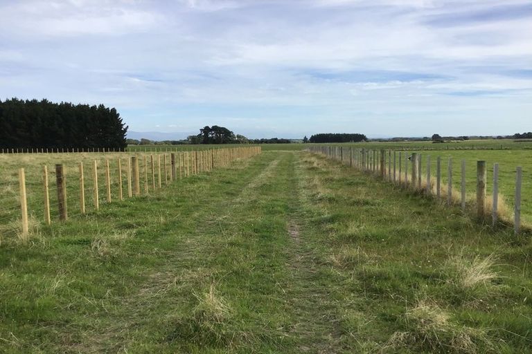 Photo of property in 172 Stewart Road, Feilding, 4479