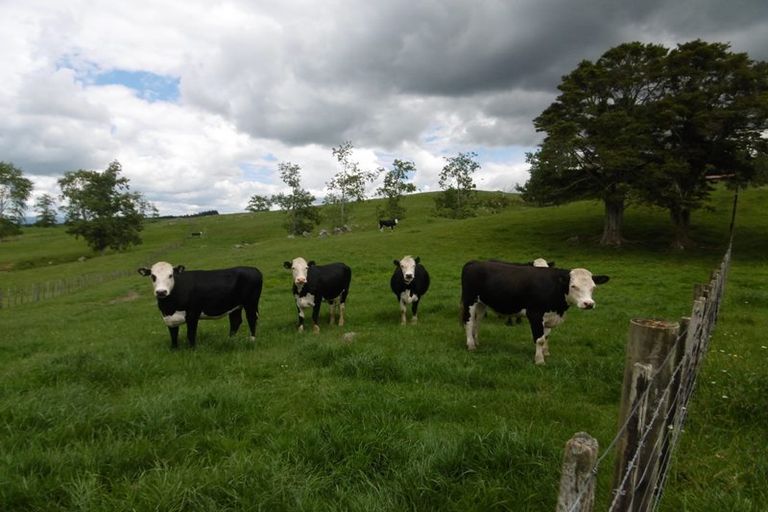 Photo of property in 170 Pigs Head Road, Whakapara, Hikurangi, 0184