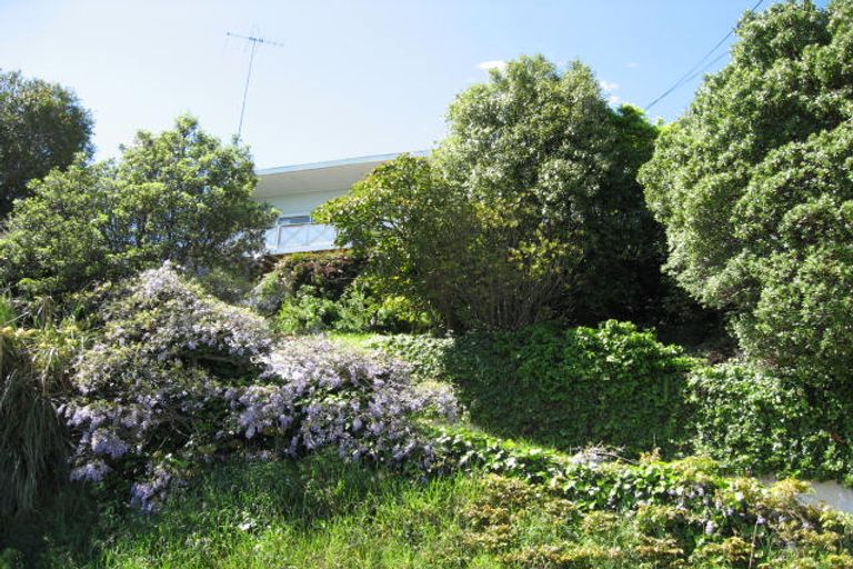 Photo of property in 62 Konini Street, Nelson South, Nelson, 7010