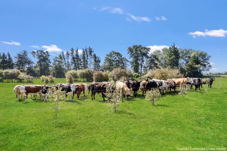 Photo of property in 21 Copper Beach Road, Woodend, Kaiapoi, 7691