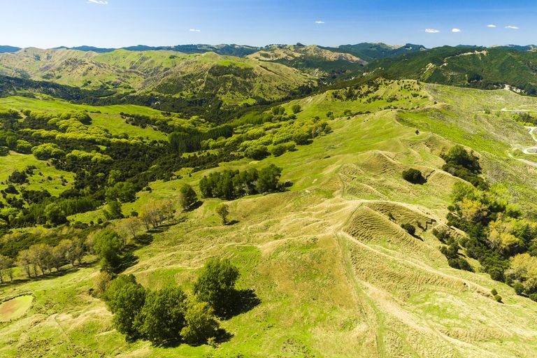 Photo of property in 1574 Kanakanaia Road, Whatatutu, Te Karaka, 4091