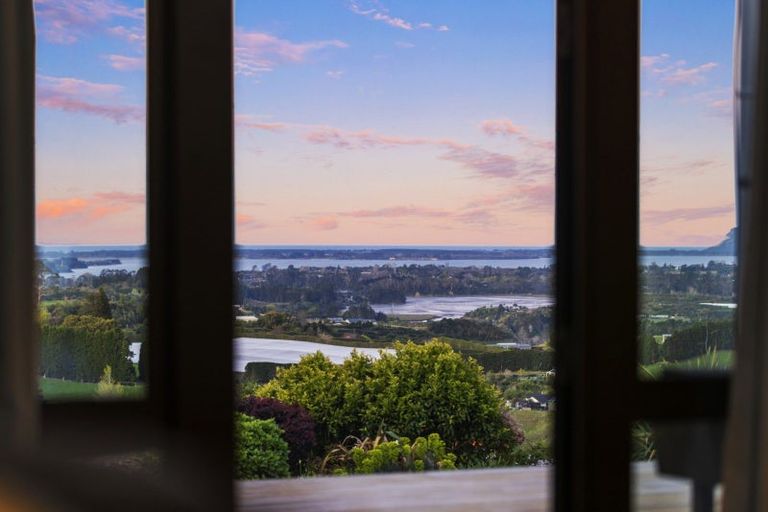 Photo of property in 252 Whakamarama Road, Whakamarama, Tauranga, 3179