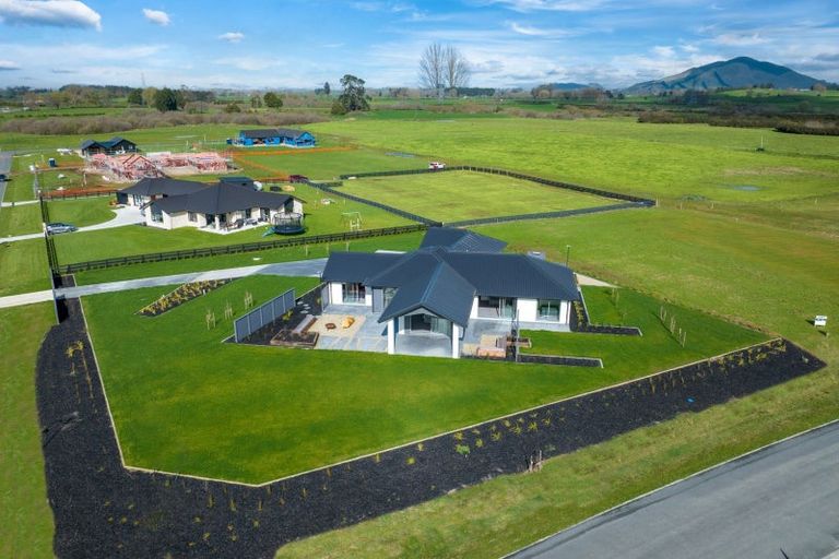 Photo of property in 46 Sherwin Street, Pirongia, 3802