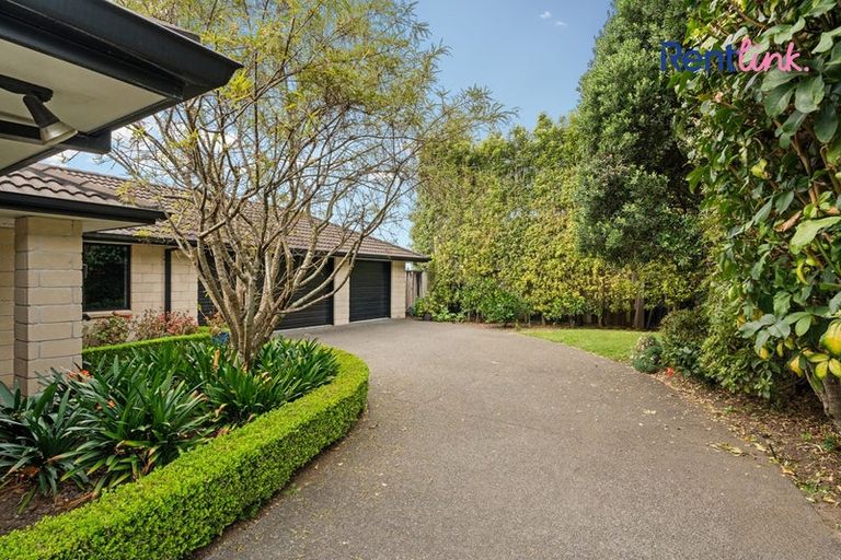 Photo of property in 111 Chater Avenue, Bethlehem, Tauranga, 3110