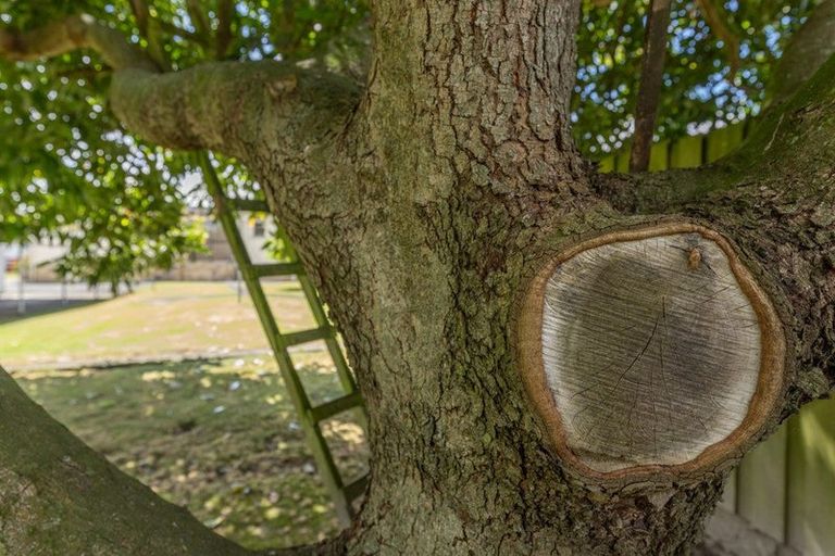 Photo of property in 42 Great South Road, Huntly, 3700