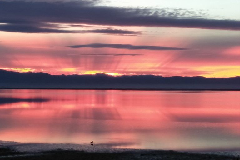 Photo of property in 2/424 Atawhai Drive, Atawhai, Nelson, 7010