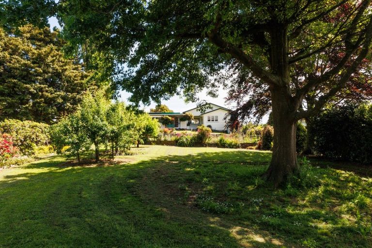 Photo of property in 31 Millricks Line, Linton, Palmerston North, 4472
