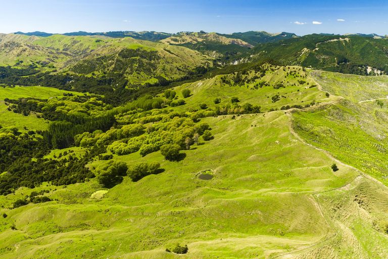 Photo of property in 1574 Kanakanaia Road, Whatatutu, Te Karaka, 4091