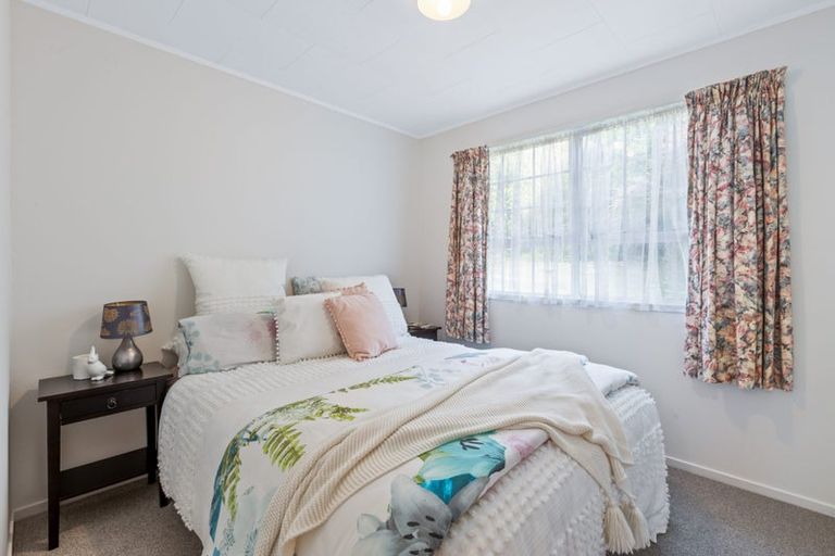 Photo of property in 53 Trias Road, Totara Vale, Auckland, 0629