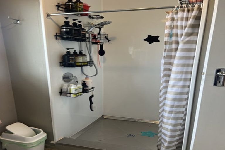 Photo of property in 3 Williams Place, Fairfield, Hamilton, 3214