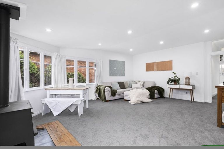 Photo of property in 8 Massey Avenue, Saint Clair, Dunedin, 9012