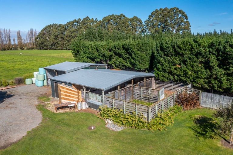 Photo of property in 313 Plaskett Road, Fernside, Rangiora, 7471