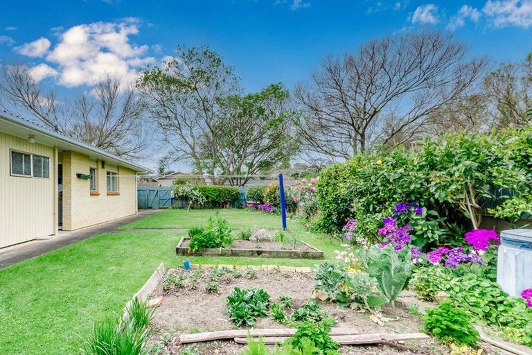 Photo of property in 38 Alexander Road, Raumati Beach, Paraparaumu, 5032