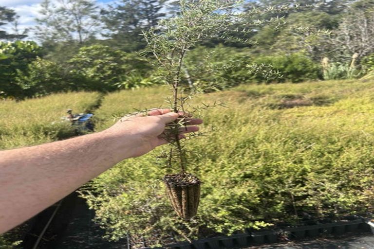 Photo of property in 200 Tawa Road, Kumeu, 0891