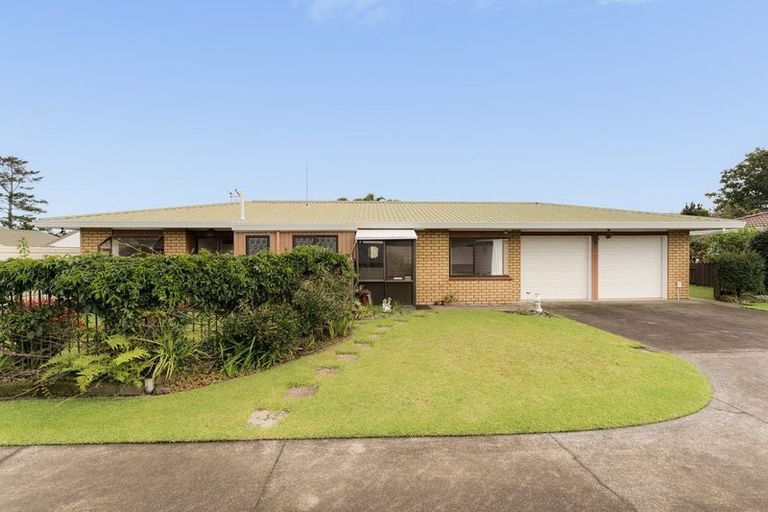 Photo of property in 93a Sixteenth Avenue, Tauranga South, Tauranga, 3112