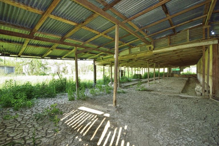 Photo of property in 24 Branson Road, Waipaoa, Gisborne, 4071