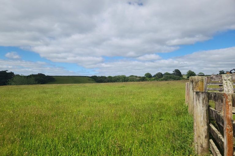 Photo of property in 323 Buckland Road, Buckland, Pukekohe, 2677