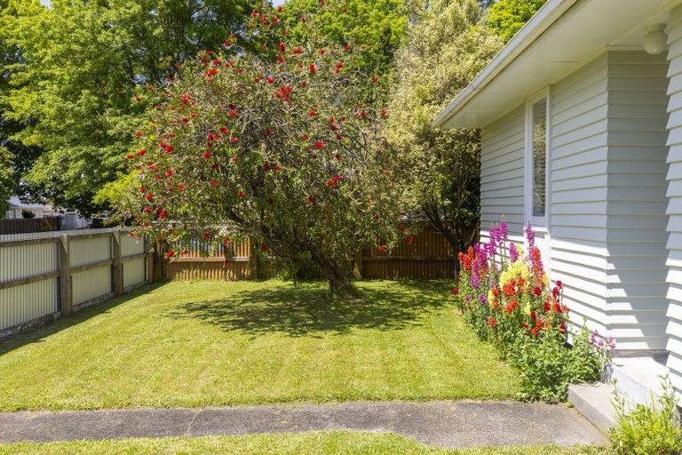 Photo of property in 41 Te Rangitautahanga Road, Turangi, 3334
