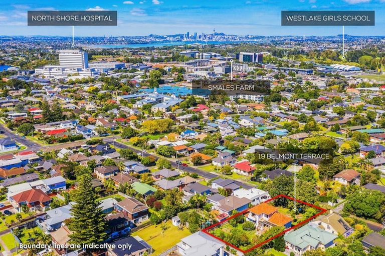 Photo of property in 19 Belmont Terrace, Milford, Auckland, 0620
