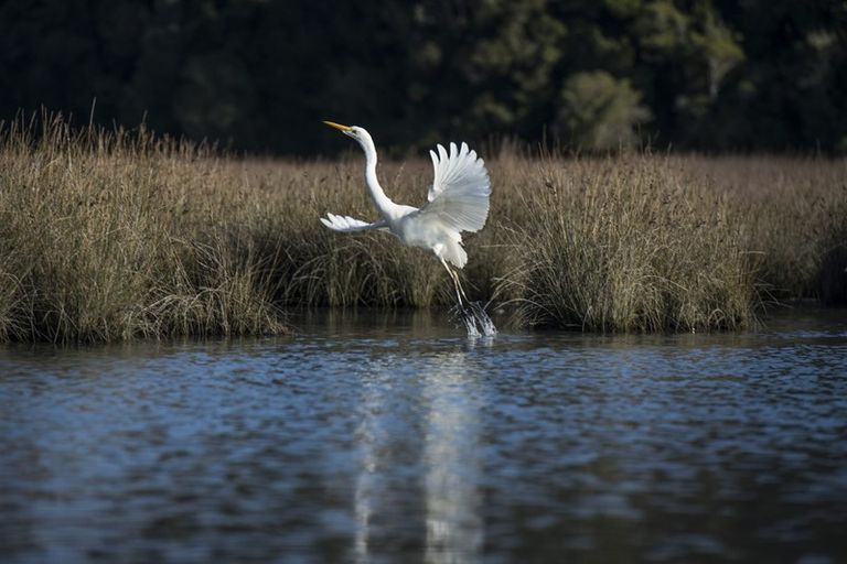 Photo of property in 9 The Strand, Okarito, Whataroa, 7886