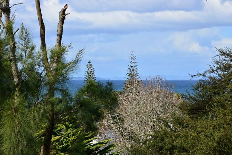 Photo of property in 41a Cochrane Avenue, Arkles Bay, Whangaparaoa, 0932