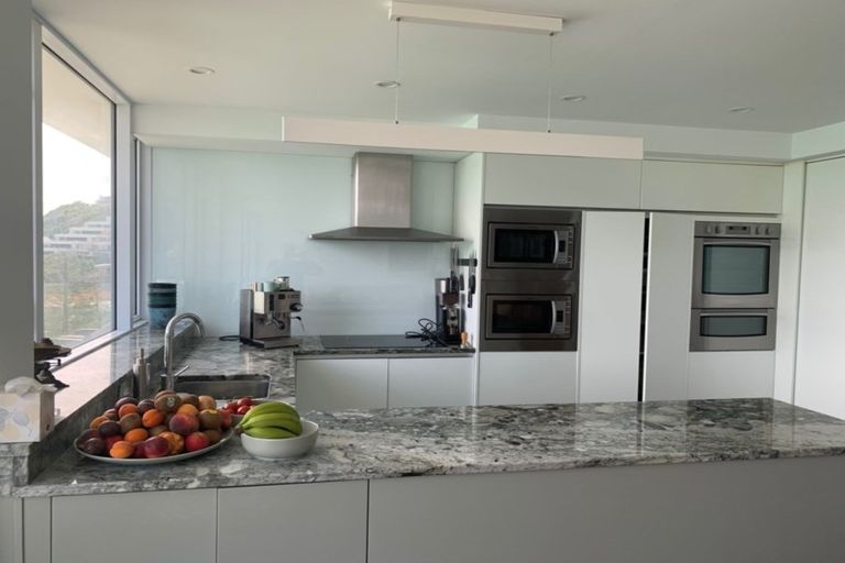 Photo of property in Oriana Apartments, 248 Oriental Parade, Oriental Bay, Wellington, 6011