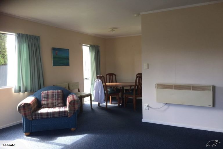 Photo of property in 33 Ruahine Street, Roslyn, Palmerston North, 4414