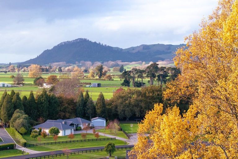 Photo of property in 3 South Oaks Close, Pukemoremore, Cambridge, 3493