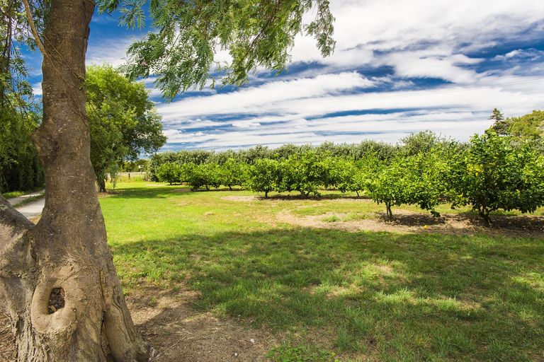 Photo of property in 566 Wharerata Road, Patutahi, Gisborne, 4072