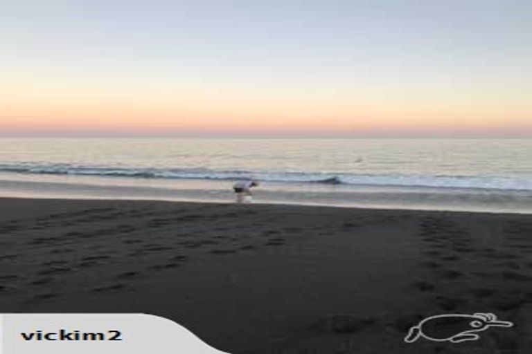 Photo of property in 223 Whirinaki Road, Eskdale, Napier, 4182