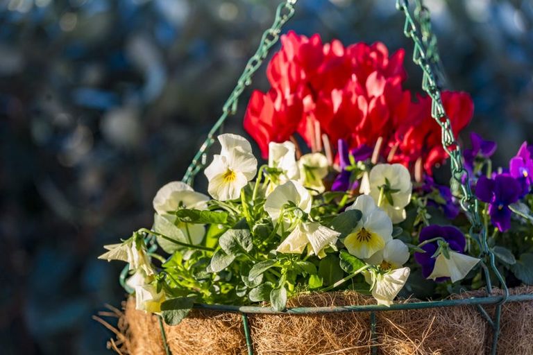 Photo of property in 81 Spence Road, Henderson, Auckland, 0612