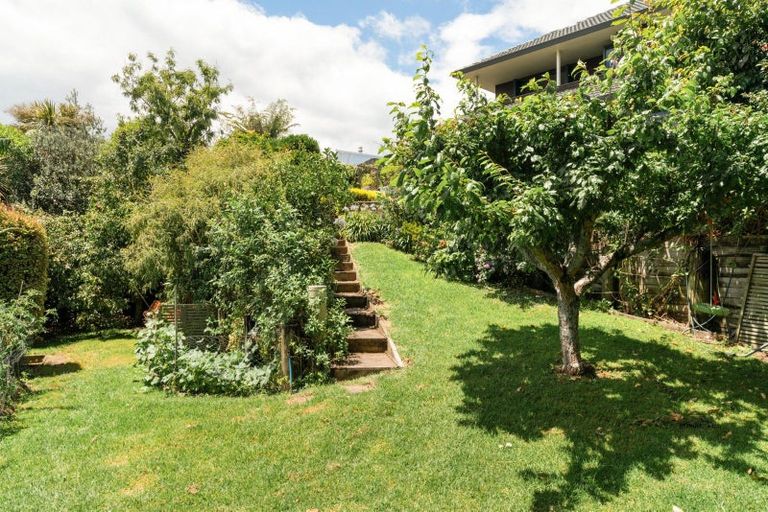 Photo of property in 117 Haukore Street, Hairini, Tauranga, 3112