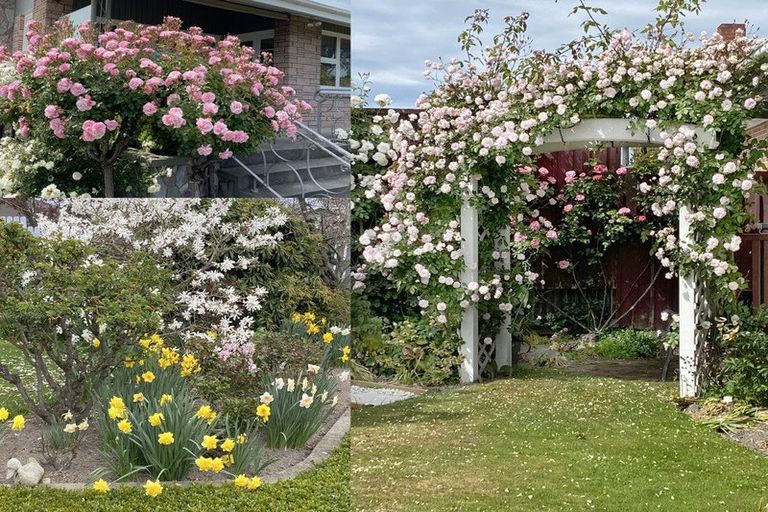 Photo of property in 41 Broadway Avenue, Highfield, Timaru, 7910