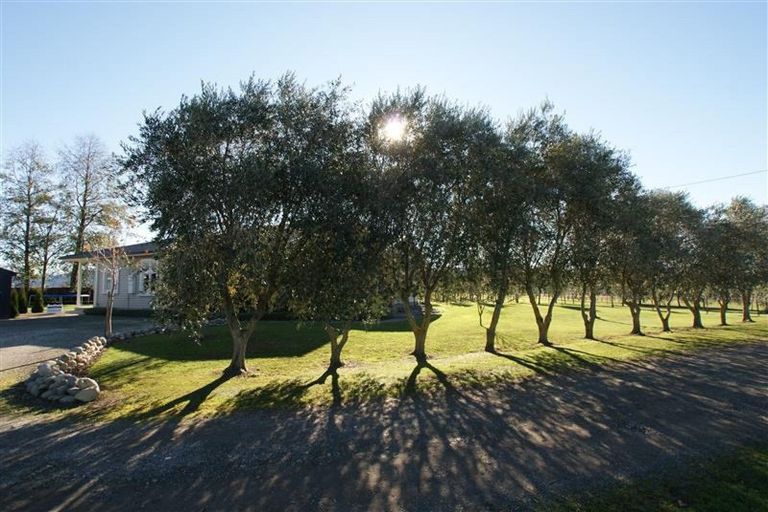 Photo of property in 71 Alma Street North, Renwick, 7204