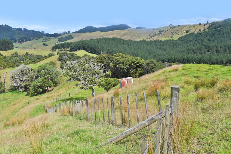 Photo of property in 121 Guy Road, Kaipara Flats, Warkworth, 0981