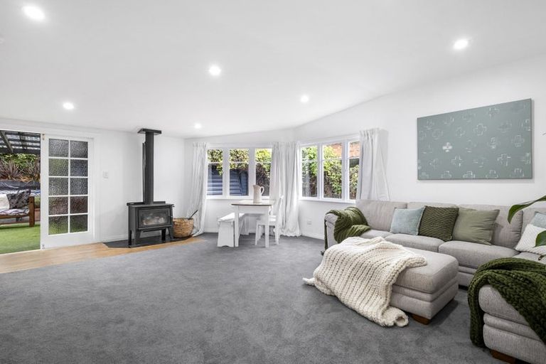 Photo of property in 8 Massey Avenue, Saint Clair, Dunedin, 9012