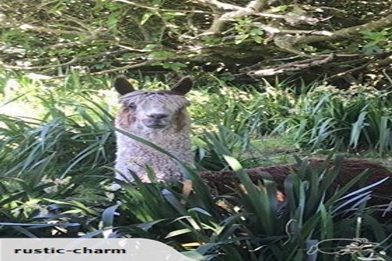 Photo of property in 85 Tarr Road, Ohaupo, 3881