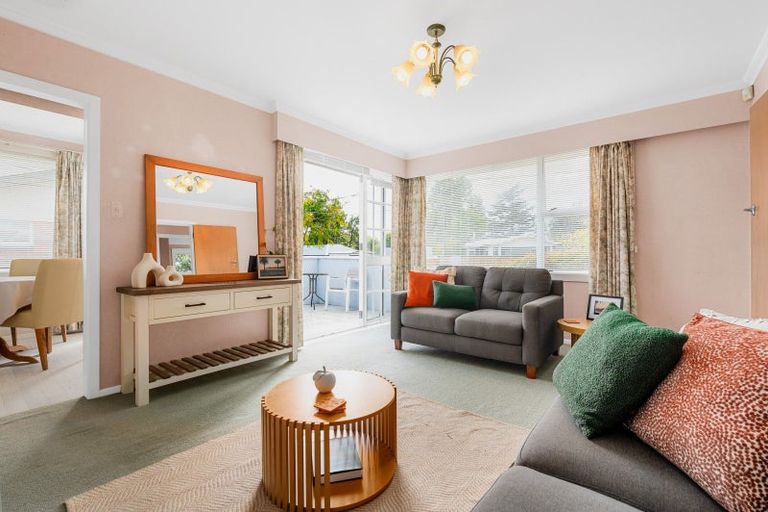 Photo of property in 101 Lewis Street, Glenview, Hamilton, 3206