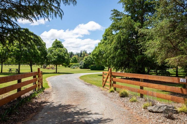 Photo of property in 190 Airport Road, Alexandra, 9391