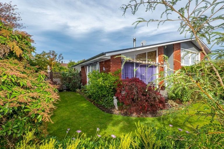 Photo of property in 317 Waimairi Road, Ilam, Christchurch, 8041