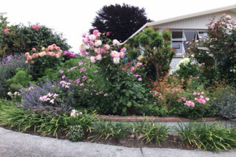 Photo of property in 63 Birch Street, Hilltop, Taupo, 3330