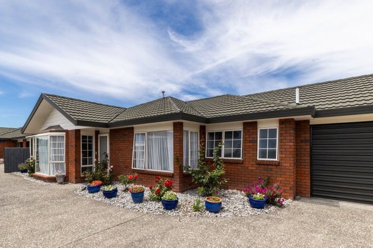 Photo of property in 509 Burnett Street, Mahora, Hastings, 4120