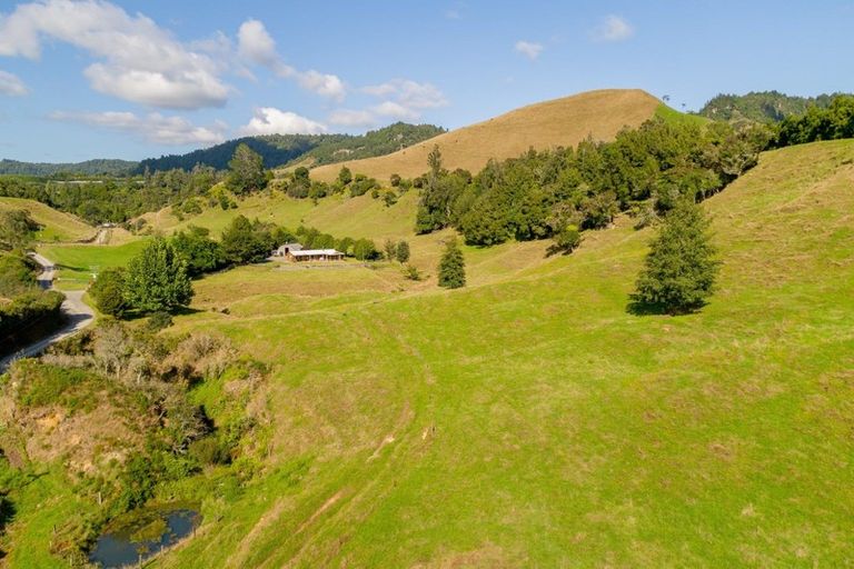 Photo of property in 1382 No 3 Road, Te Puke, 3183